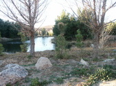 Enlarge photo 19