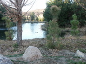 Enlarge photo 20
