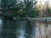 Enlarge photo 25
