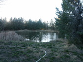 Enlarge photo 27