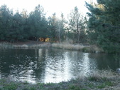 Enlarge photo 28