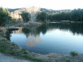Enlarge photo 30
