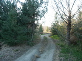 Enlarge photo 32