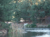 Enlarge photo 34