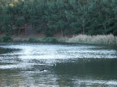 Enlarge photo 35