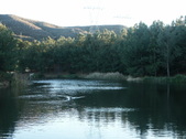 Enlarge photo 36