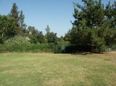 Enlarge photo 25