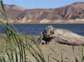 Enlarge photo 38