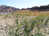 Enlarge photo 40