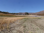 Enlarge photo 41