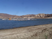 Enlarge photo 43