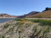 Enlarge photo 44