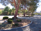 Enlarge photo 71