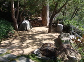 Enlarge photo 37