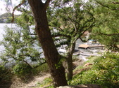 Enlarge photo 39