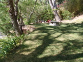 Enlarge photo 40