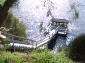 Enlarge photo 41