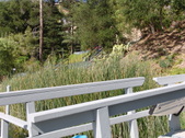 Enlarge photo 48