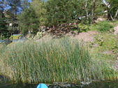 Enlarge photo 50