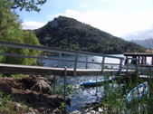 Enlarge photo 57