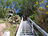 Enlarge photo 61