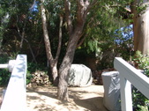 Enlarge photo 62