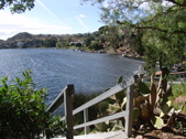 Enlarge photo 63