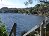 Enlarge photo 64