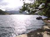 Enlarge photo 67