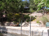 Enlarge photo 78