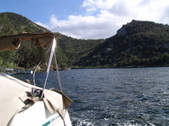 Enlarge photo 79