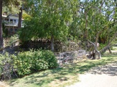 Enlarge photo 81