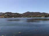 Enlarge photo 84