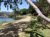 Enlarge photo 92