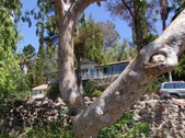 Enlarge photo 107
