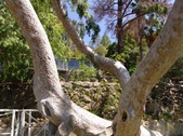 Enlarge photo 109
