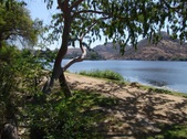 Enlarge photo 110