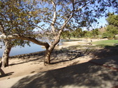Enlarge photo 35
