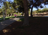 Enlarge photo 36