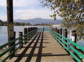 Enlarge photo 37