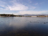 Enlarge photo 42