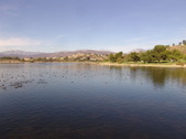 Enlarge photo 43