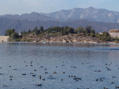 Enlarge photo 45