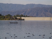 Enlarge photo 46