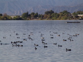 Enlarge photo 47