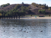Enlarge photo 48