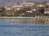 Enlarge photo 49