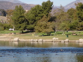 Enlarge photo 50