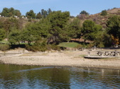 Enlarge photo 51