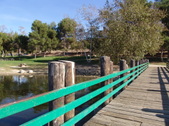 Enlarge photo 54